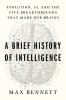 Go to record A brief history of intelligence : evolution, AI, and the f...