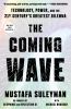 Go to record The coming wave : technology, power, and the twenty-first ...