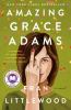 Go to record Amazing Grace Adams : a novel