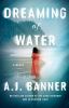 Go to record Dreaming of water : a novel