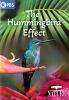Go to record The hummingbird effect