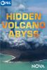 Go to record Hidden volcano abyss