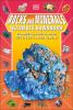 Go to record Rocks and minerals ultimate handbook : the essential facts...
