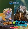 Go to record Gecko or komodo dragon