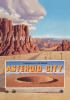 Go to record Asteroid City