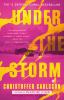 Go to record Under the storm : a novel