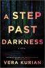 Go to record A step past darkness : a novel