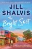 Go to record The bright spot : a novel