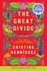 Go to record The great divide a novel