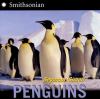 Go to record Penguins