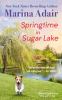 Go to record Springtime in Sugar Lake