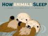 Go to record How animals sleep