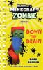 Go to record Diary of a Minecraft zombie:  Down the drain