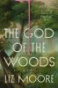 Go to record God of the Woods : A Novel.