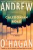 Go to record Caledonian road : a novel