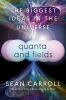 Go to record Quanta and fields : the biggest ideas in the universe