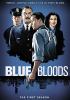 Go to record Blue bloods. The first season