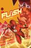 Go to record The Flash. Vol. 20, Time heist