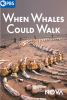 Go to record When whales could walk