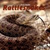 Go to record Rattlesnakes
