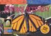 Go to record Monarch butterfly