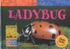 Go to record Ladybug