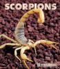 Go to record Scorpions
