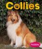Go to record Collies