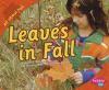 Go to record Leaves in fall