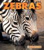 Go to record Zebras