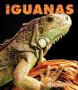 Go to record Iguanas