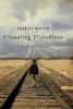 Go to record Chasing fireflies : a novel of discovery