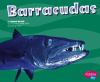 Go to record Barracudas
