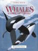Go to record A visual introduction to whales, dolphins and porpoises