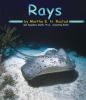 Go to record Rays