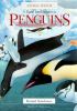 Go to record A visual introduction to penguins
