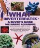 Go to record What invertebrates? : a buyer's guide for marine aquariums