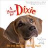 Go to record A home for Dixie : the true story of a rescued puppy