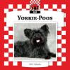 Go to record Yorkie-poos