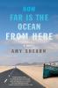 Go to record How far is the ocean from here : a novel