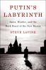 Go to record Putin's labyrinth : spies, murder, and the dark heart of t...