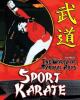 Go to record Sport karate