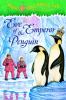 Go to record Eve of the emperor penguin