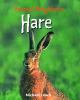 Go to record Hare