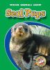 Go to record Seal pups