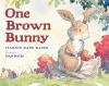 Go to record One brown bunny