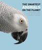 Go to record The smartest animals on the planet : extraordinary tales o...