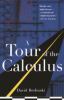 Go to record A tour of the calculus