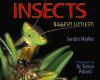 Go to record Insects : biggest! littlest!