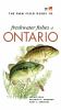 Go to record The ROM field guide to freshwater fishes of Ontario